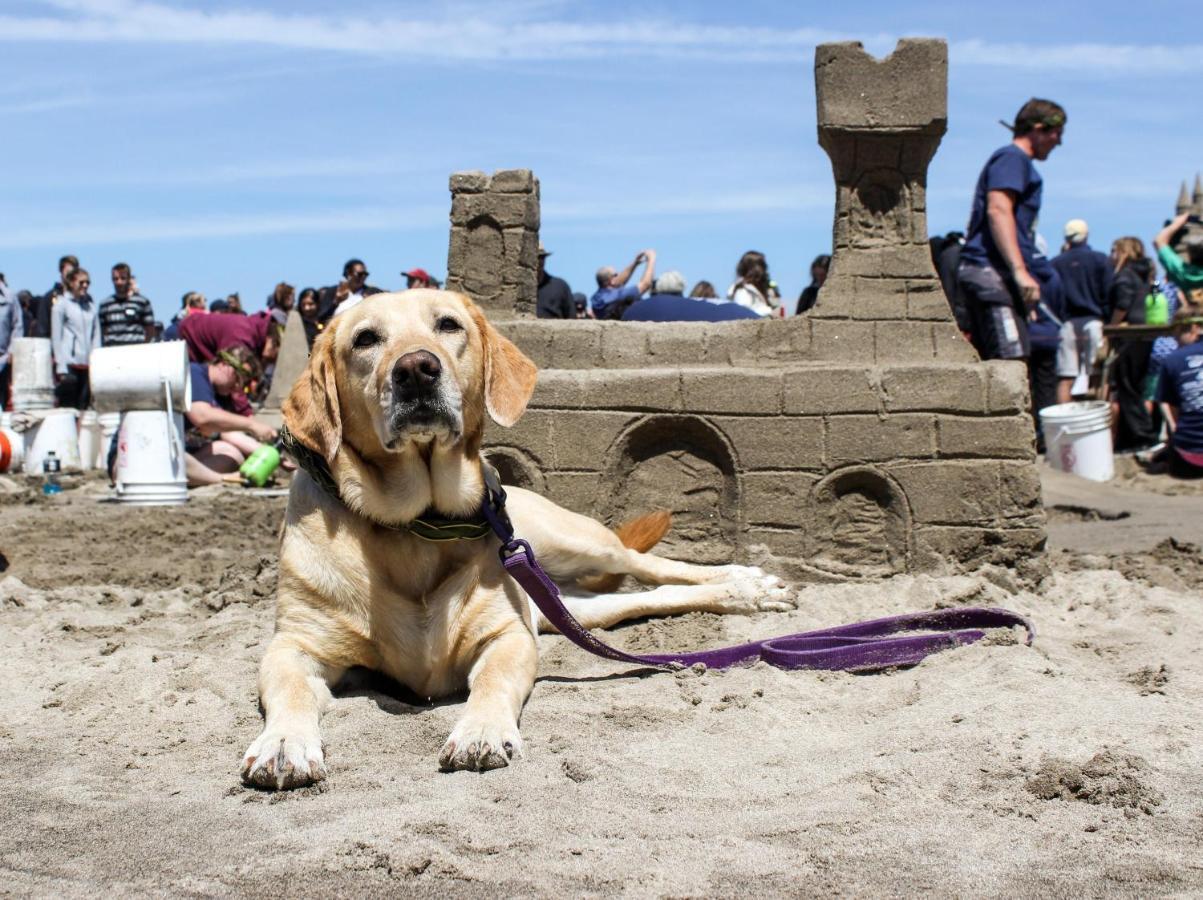 Apartment Beaches | Puffins Place Cannon Beach
